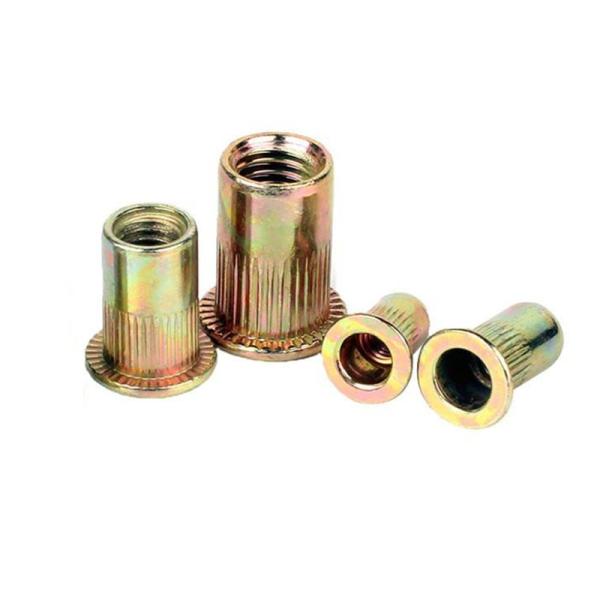 Galvanized Flat Head Nut with Grade 4.8/8.8/10.9/12.9 Ect Knurled Vertical Rivets