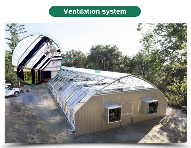Length 30-100m Hoop House Light Deprivation Greenhouses for Mushroom Large