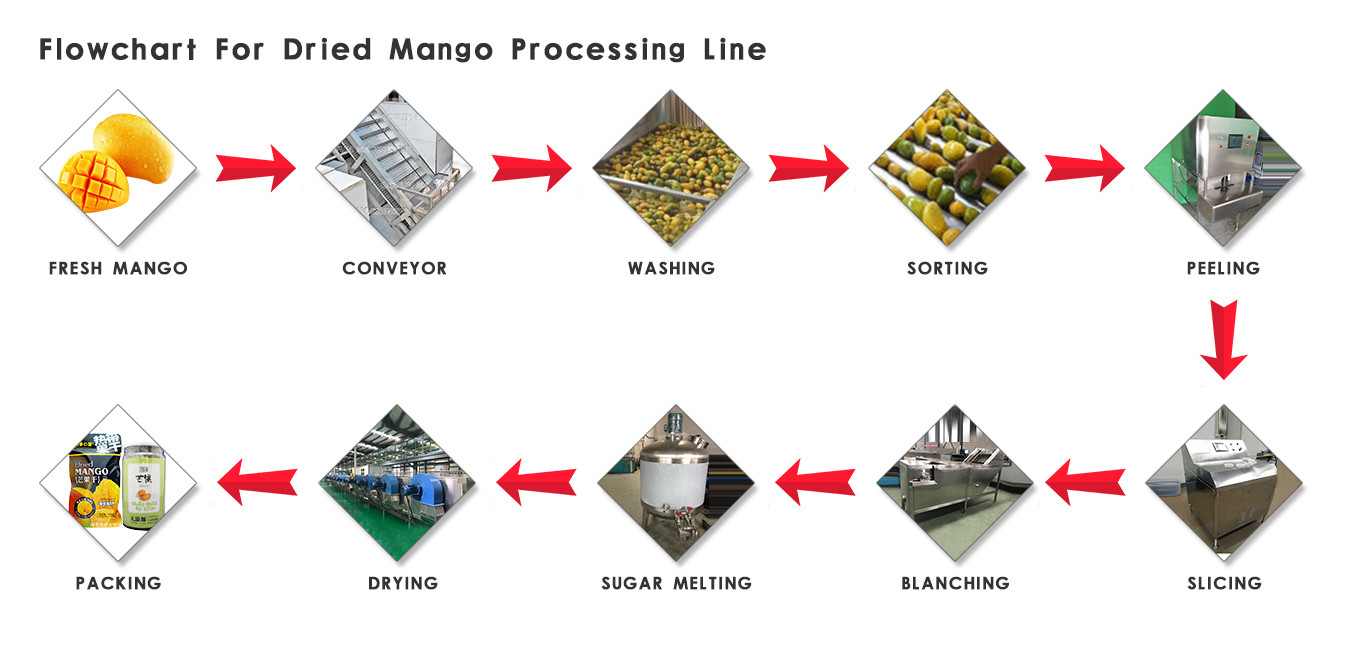 Electric Automatic Mango Processing Equipment Mango Fruit Core Removing Machine