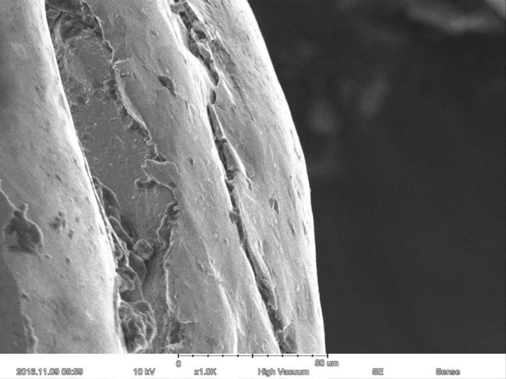 Magnification Max 60000X Scanning Electron Microscope 15nm Resolution Optional EDS