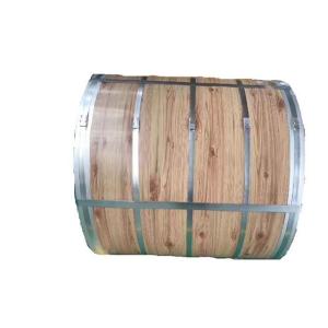 China DX51D PPGL Steel Coil Astm A240 304 Stainless Steel Plate wholesale