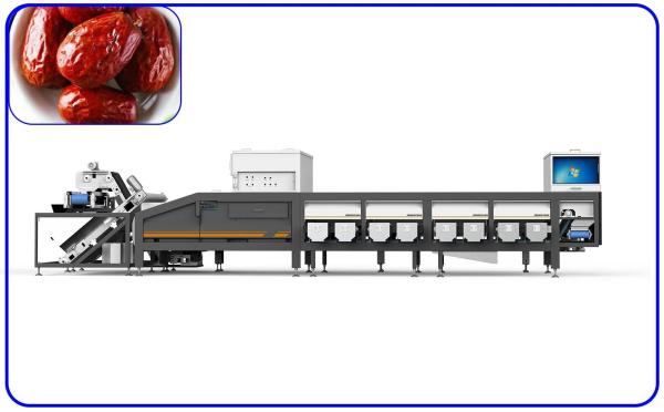 Quality 380V 50Hz 6 Lanes Robot Sorting Machine Electric Drive For Dates for sale