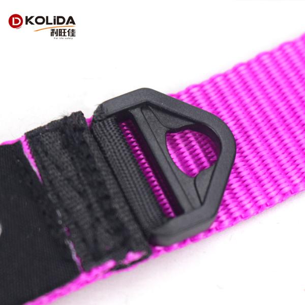Dog Training Nylon Webbing Collar With Double D Rings Easy Washing