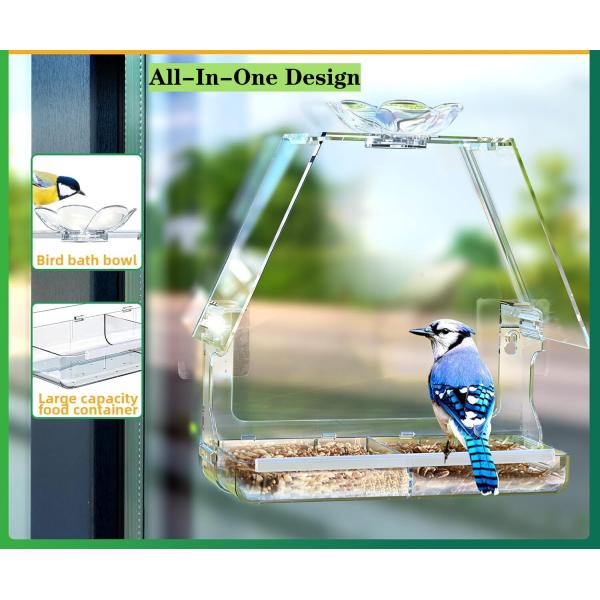 Transparent Window Plexiglass Bird House With BROAD Viewing Strong Suction Cups