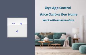 Smart Home Tuya Zigbee Smart Switch Panel Works With Amazon Alexa Voice Speaker