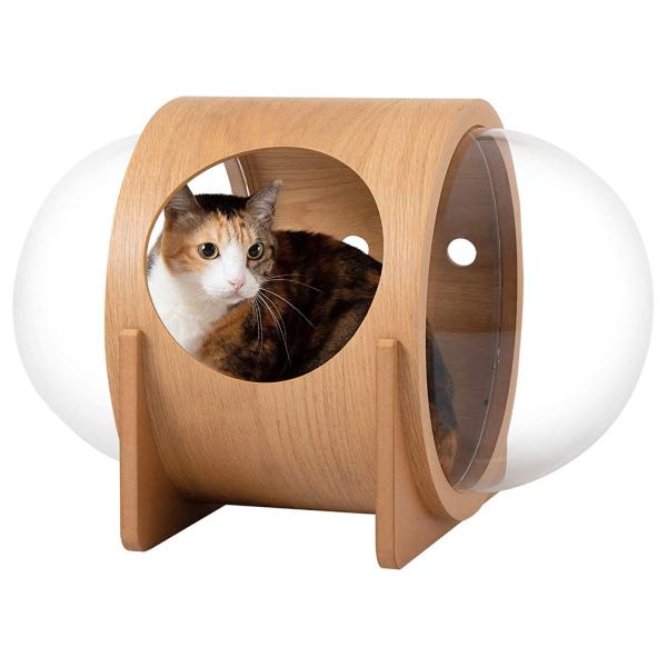 cat bed capsule