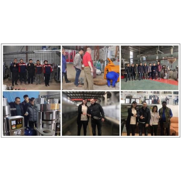 Full Stainless Steel Peanut Roaster Machine Automatic Nut Roasting Machine