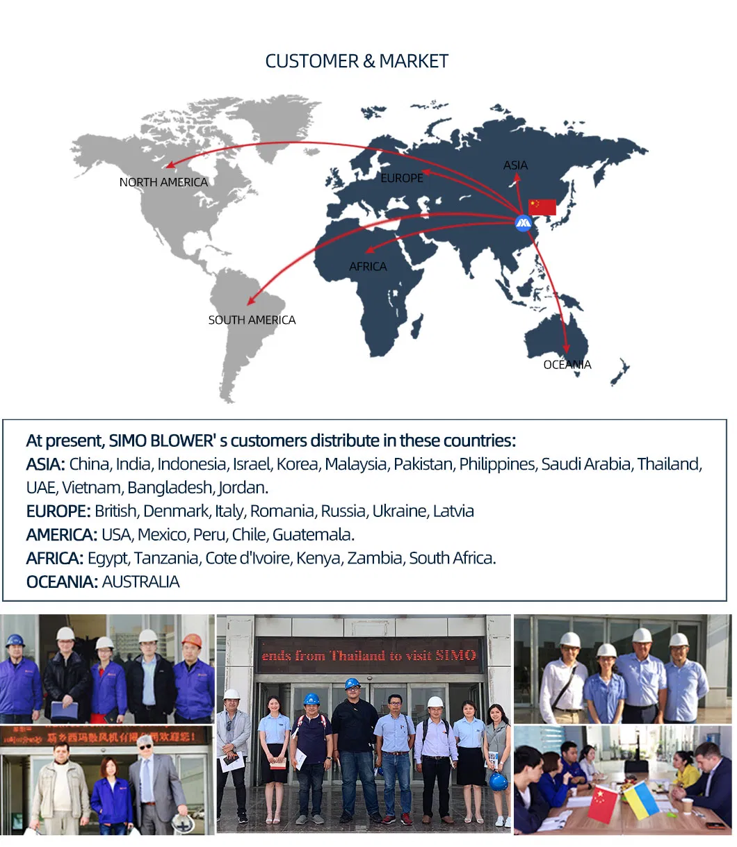Company expertise and professional team