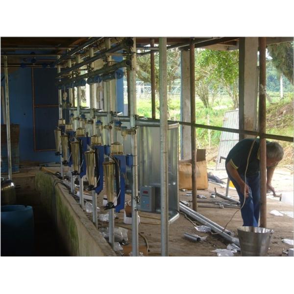 HL-G2 Herringbone Milking Parlor with Automatic Cluster Remover for Cow Milking