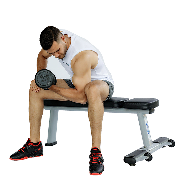 Exercise Bench Press Exercise Workout Flat Weight Lifting Gym Bench