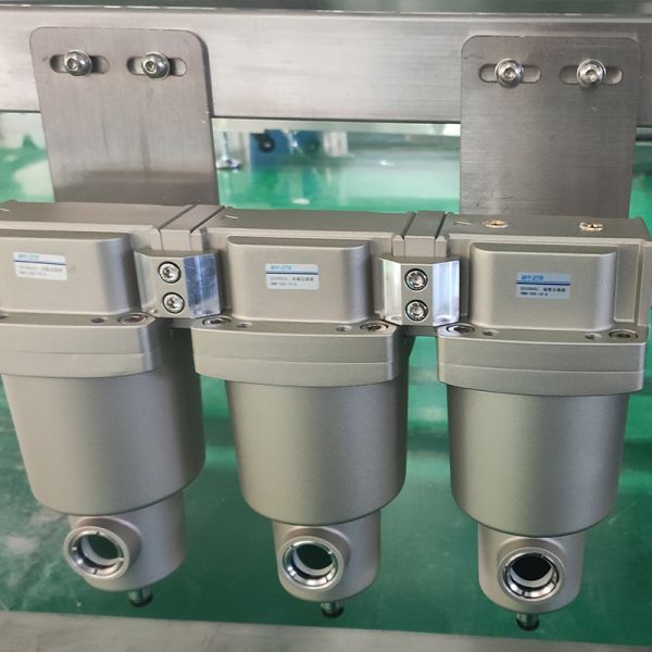Customized Color Sorter Machine with Advanced AI dehydrated vegetables Sorting