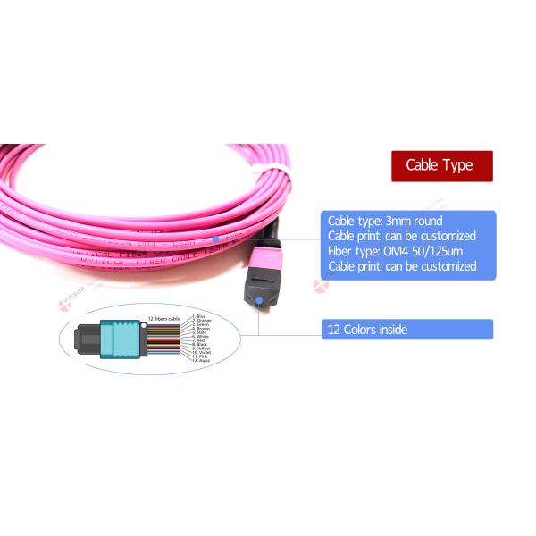 MPO patch cord MPO-LC MPO/MTP to 6 x LC UPC Duplex 12 Fibers OM4 MM Type A Breakout Patch Cord 5 meter 10 meter