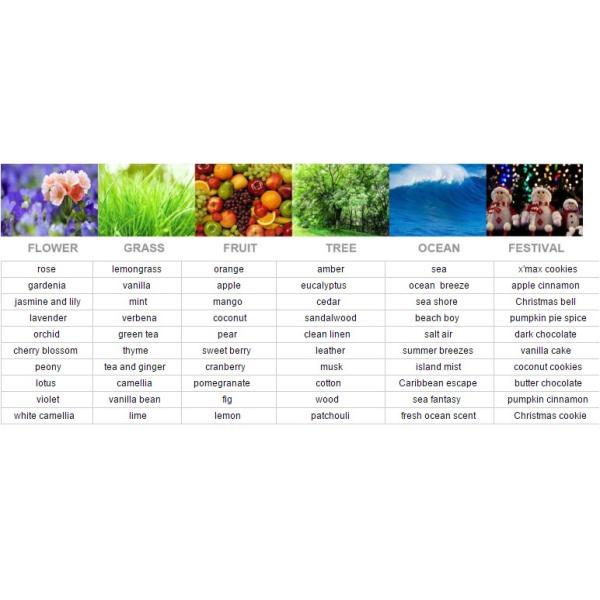 Soy Wax Non Toxic Scented Candles