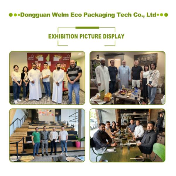 Recycled Pulp Burger Greaseproof Wrapping Paper Food Grade Single Side Coating