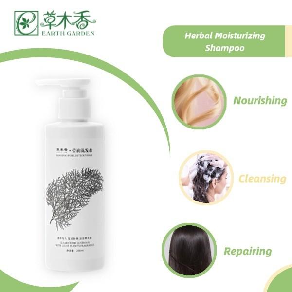Quality Chinese Botanical Shampoo Hydrating Herbal Shampoo For Hair Loss for sale