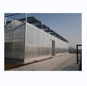 China PC Plastic Polycarbonate Sheet Multi Span Hydroponic Greenhouse wholesale