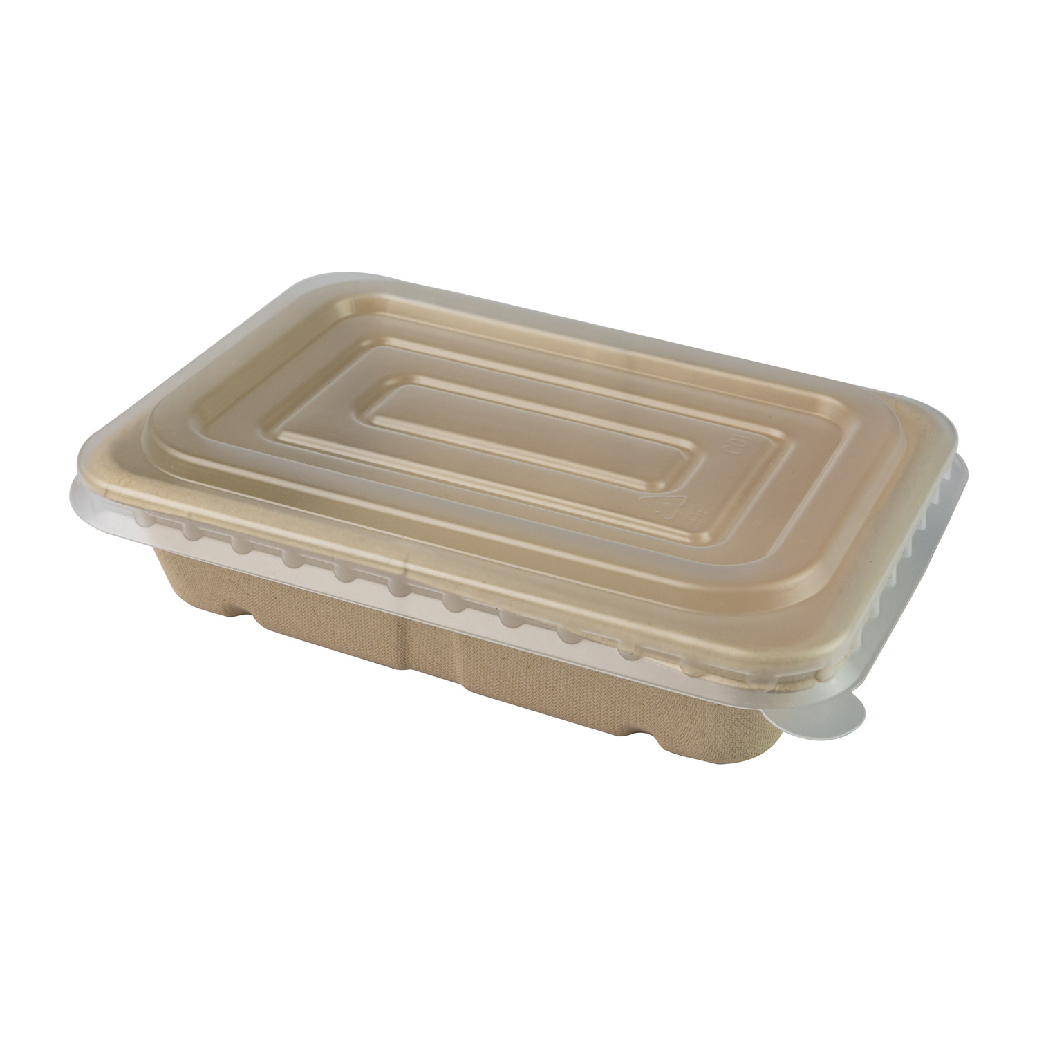 Biodegradable Paper Pulp Lunch Container, Sugarcane Bagasse Food Container, Disposable Tableware