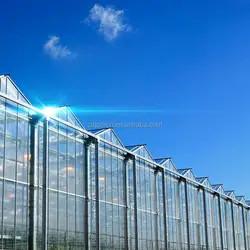 Quality Rectangular Glass Enclosed Tomato Plant Greenhouse With Wind Resistance for sale