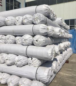 China Road Construction Composite Geogrids Uniaxial Plastic Geogrid for Highway Construction wholesale