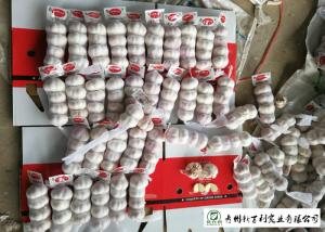 China Wholesale Fresh Organic Garlic , New Crop Fresh White Garlic SGS Certification wholesale