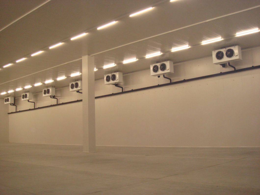China Manufacturer Cold Storage Chiller/Cooler/Freezer Room with Condensing Unit Compressor