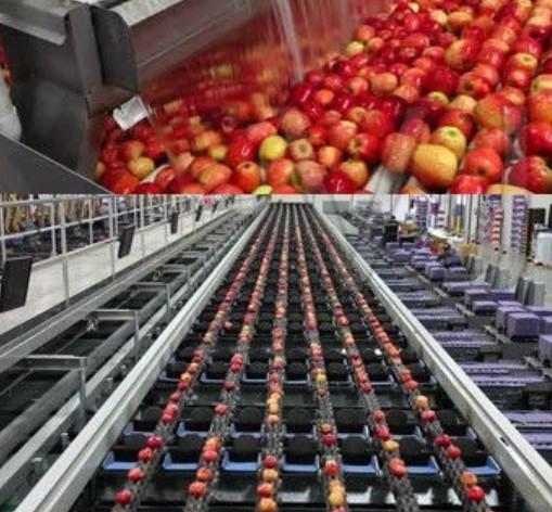 Quality Fruit Juice Concentrate Machine Apple Juice Complete Processing Line for sale