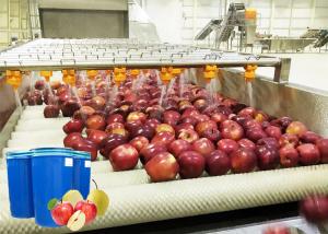 China Professional Fruit Processing Line Apple And Pear Juice Production Machine wholesale