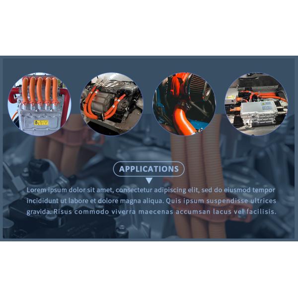 IEC 62196-2 Plug EV Charging Cable with CE TUV Certificate and Bare Copper Conductor for Slow EV Charging Station