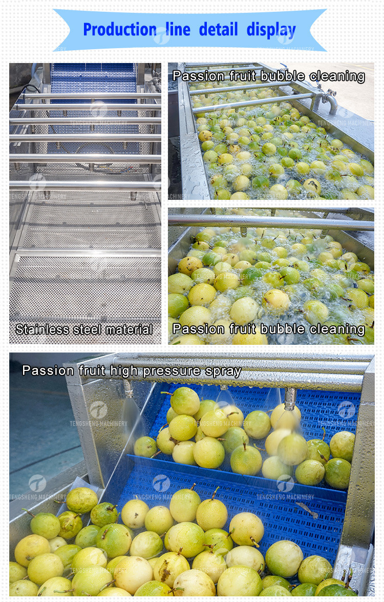 Silvery Personalization Passion Fruit And Vegetable Processing Line Fruit Cleansing Drying