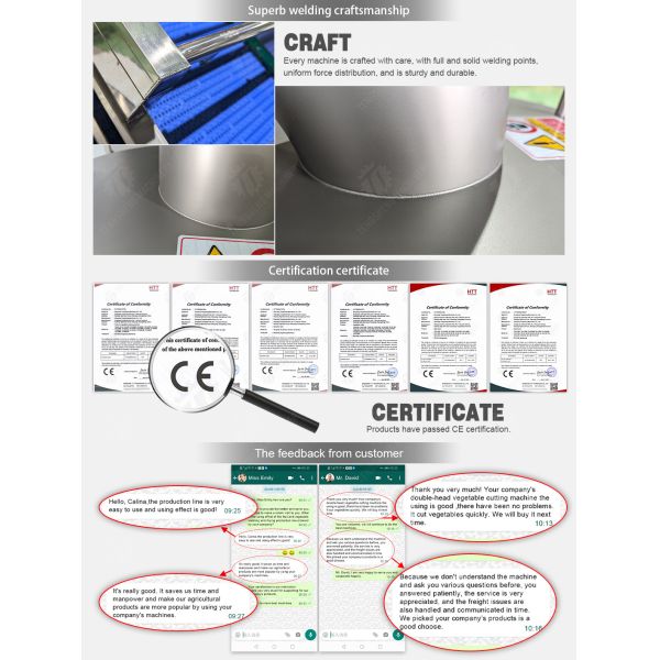 6 Liters 100KG/H SS Meat Processing Machine Food Crusher