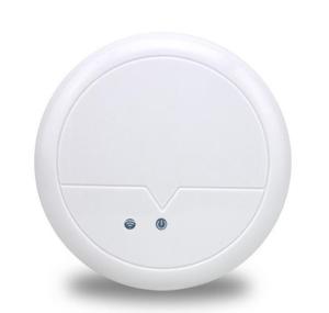 300mW High power ceiling mount wireless Access Point router