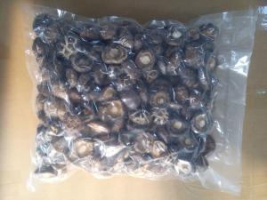 Healthy Dried Shiitake Mushroom 11% Moisture No Foreign Odours