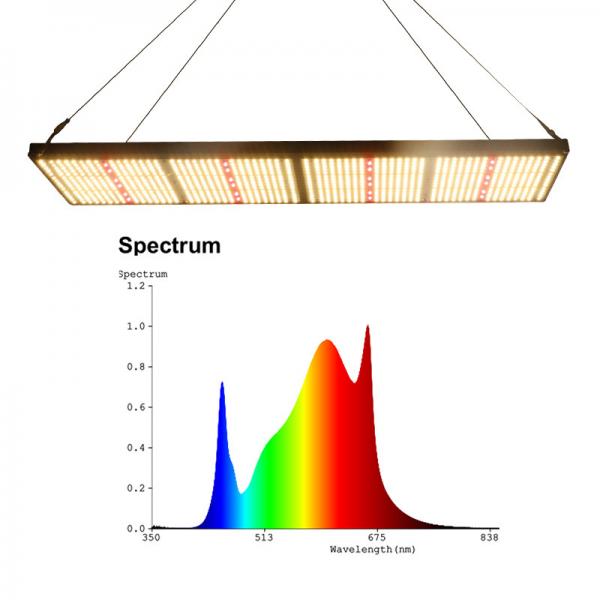 Quality new product 2024 240w Folux V2 led board full spectrum hydroponic grow light for sale
