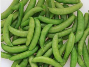Green IQF Frozen Vegetables / Fresh Sugar Snap Peas With Delicious Taste