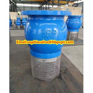 China PN16 GG25 cast iron foot valve wholesale