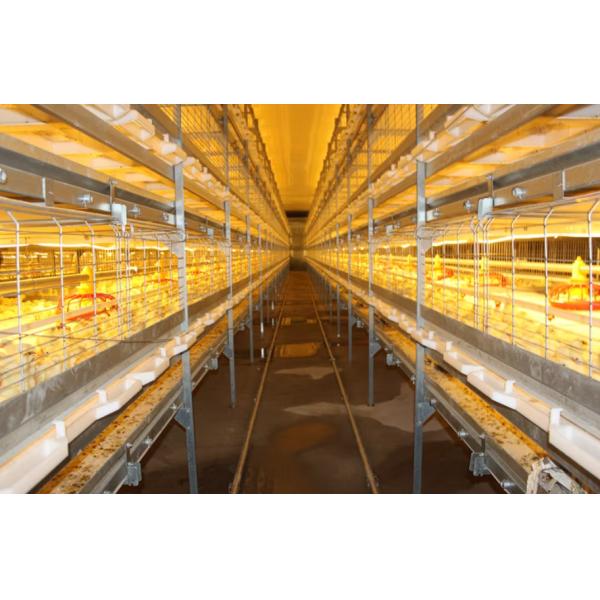 Prefabricated Steel Structure Thermostatic Hot DIP Galvanized Steel Poultry Chicken House