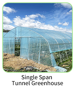 Single Layer Rain Shelter Greenhouse with Small Spire Top or Round Top for Grape and Cherry Cultivation