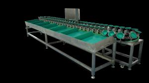 China 0.6KW Mango Garlic Vegetable Grading Machine Lemon Sorting System wholesale