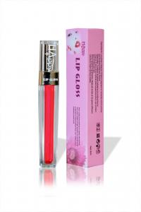 ODM OEM Long Lasting Waterproof Lip Gloss Lip Treatment Gloss