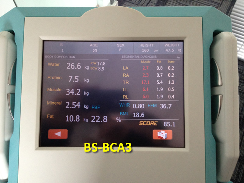Direct Segmental Body Fat Analysis Machine With Accurate Viscereal Fat Evaluation