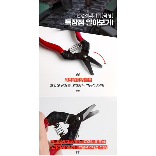 Garden Pruning Shears Featuring A High-Quality Carbon Steel Blade SINSEUNG SB307 Ultra Sharp