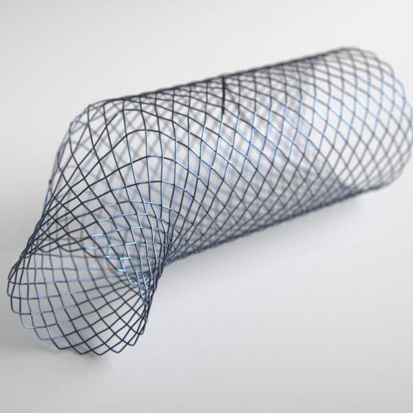 Quality Nitinol Expandable Bronchus Stent With Delivery System of Nitinol stent for sale