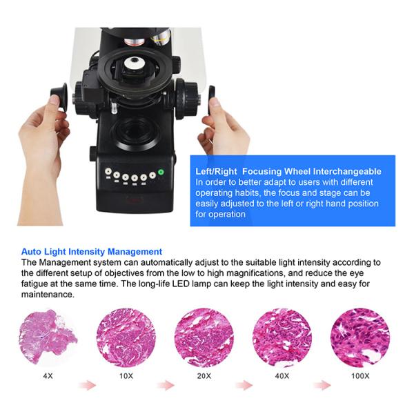 Led Semi Auto Trinocular Stereo Microscope For Research Scientific Laboratory A12.1093-L