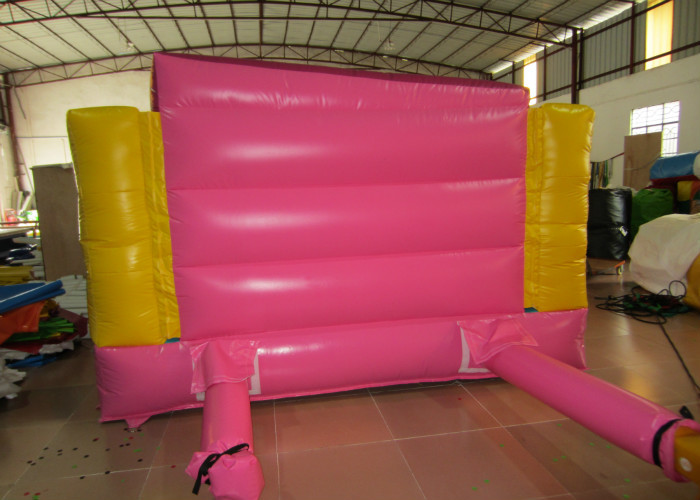 Durable Custom Made Inflatables Bounce House Slide Combo Digitally Printing 4 X 3 X 2.2m