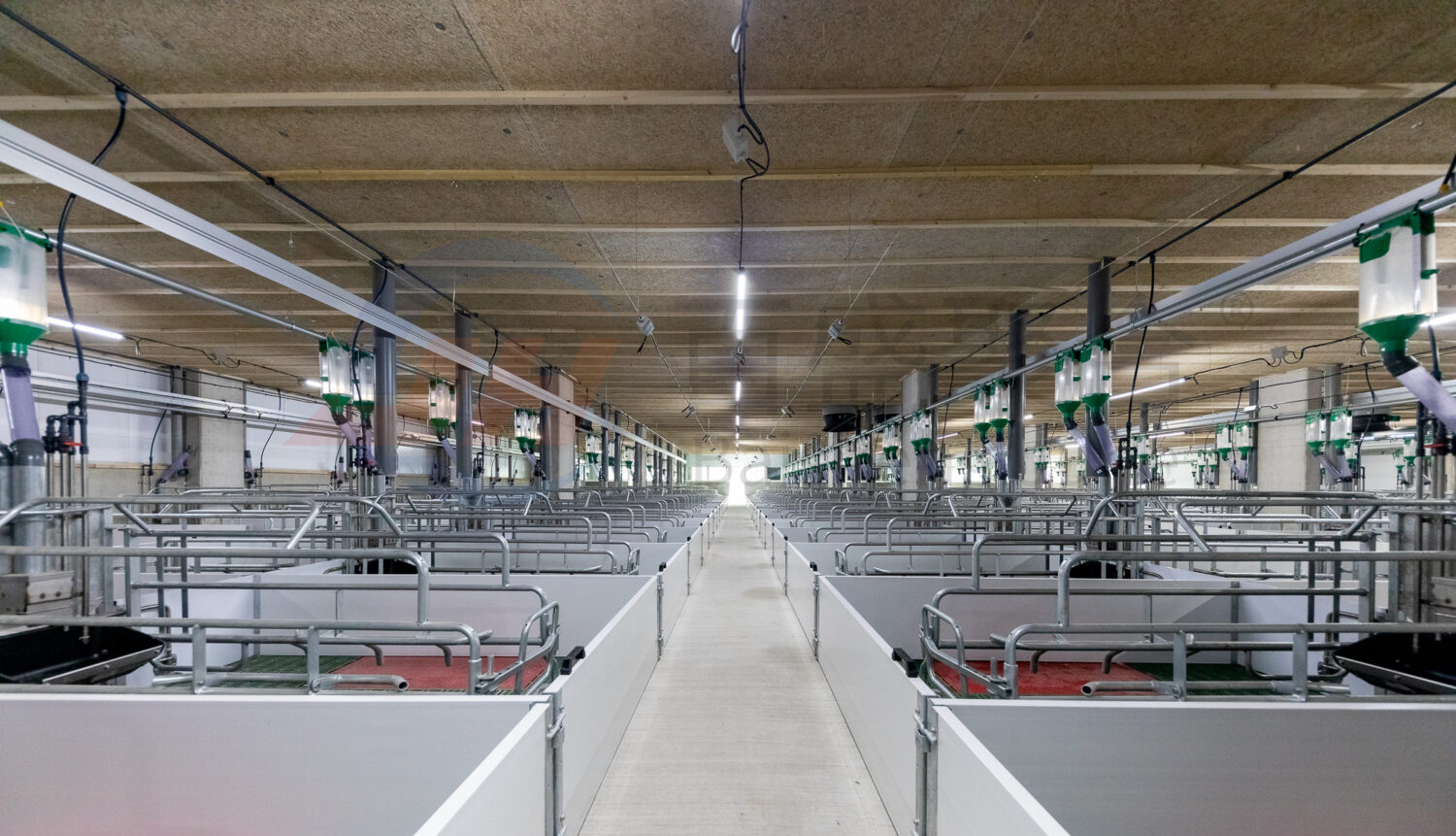 Heavy-Duty Prefab Pigsty Farm Houses with Large Stock and Piggery Equipment Design