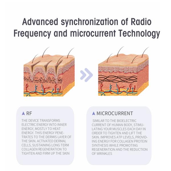 240VAC Rf Face Lifting Machine , DEESS Radio Frequency Beauty Device