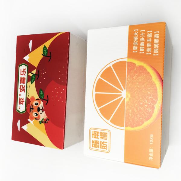 Water Resistant 4mm Fruit Reusable Corrugated Plastic Carton Eco - Friendly