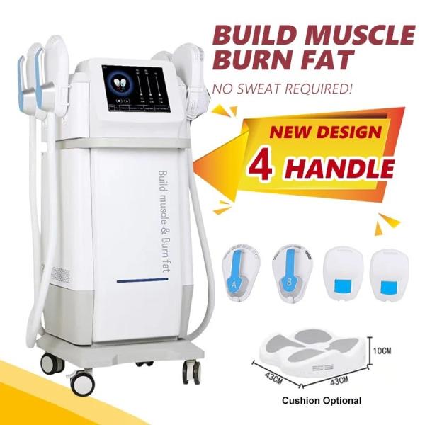 China Non Invasive Body Sculpting Machine , Magnetic Muscle Stimulation Machine wholesale