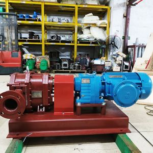 China Low Costs For Wearing Parts Rotary Lobe Pump Easy Maintenance wholesale