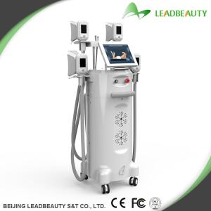 China Newest Designed Cryolipolysis Slimming Machine wholesale